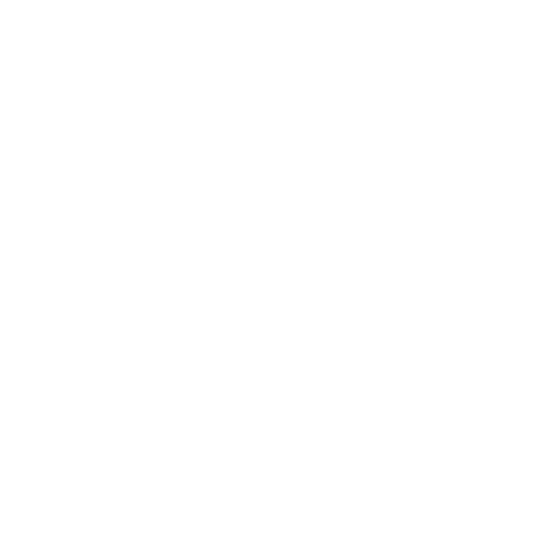 Logo icon